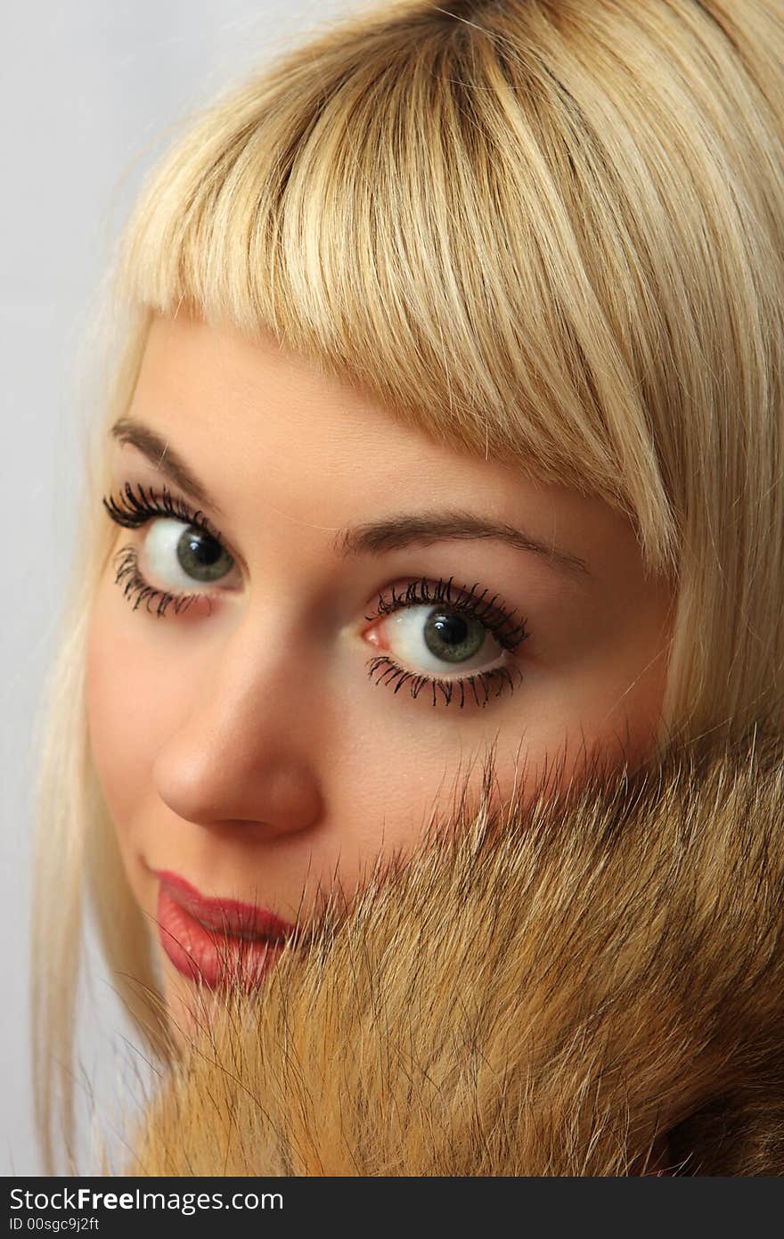 Portrait of the nice girl in fur