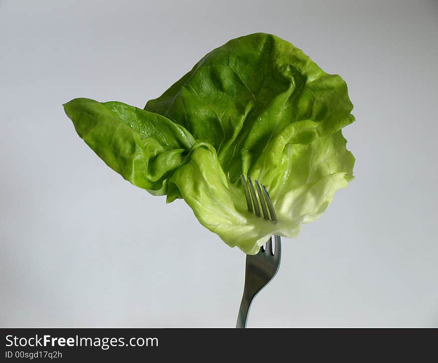 Fork & Lettuce