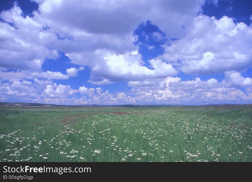 Grassland in Inner Mongolia in summer. Grassland in Inner Mongolia in summer