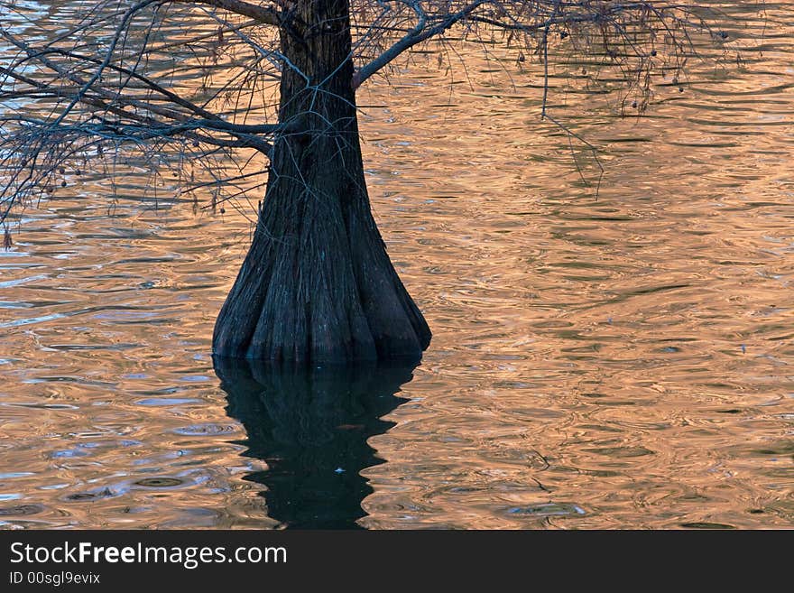 Sunrise light on reflecting water in Madrid's Retiro Park. Sunrise light on reflecting water in Madrid's Retiro Park.