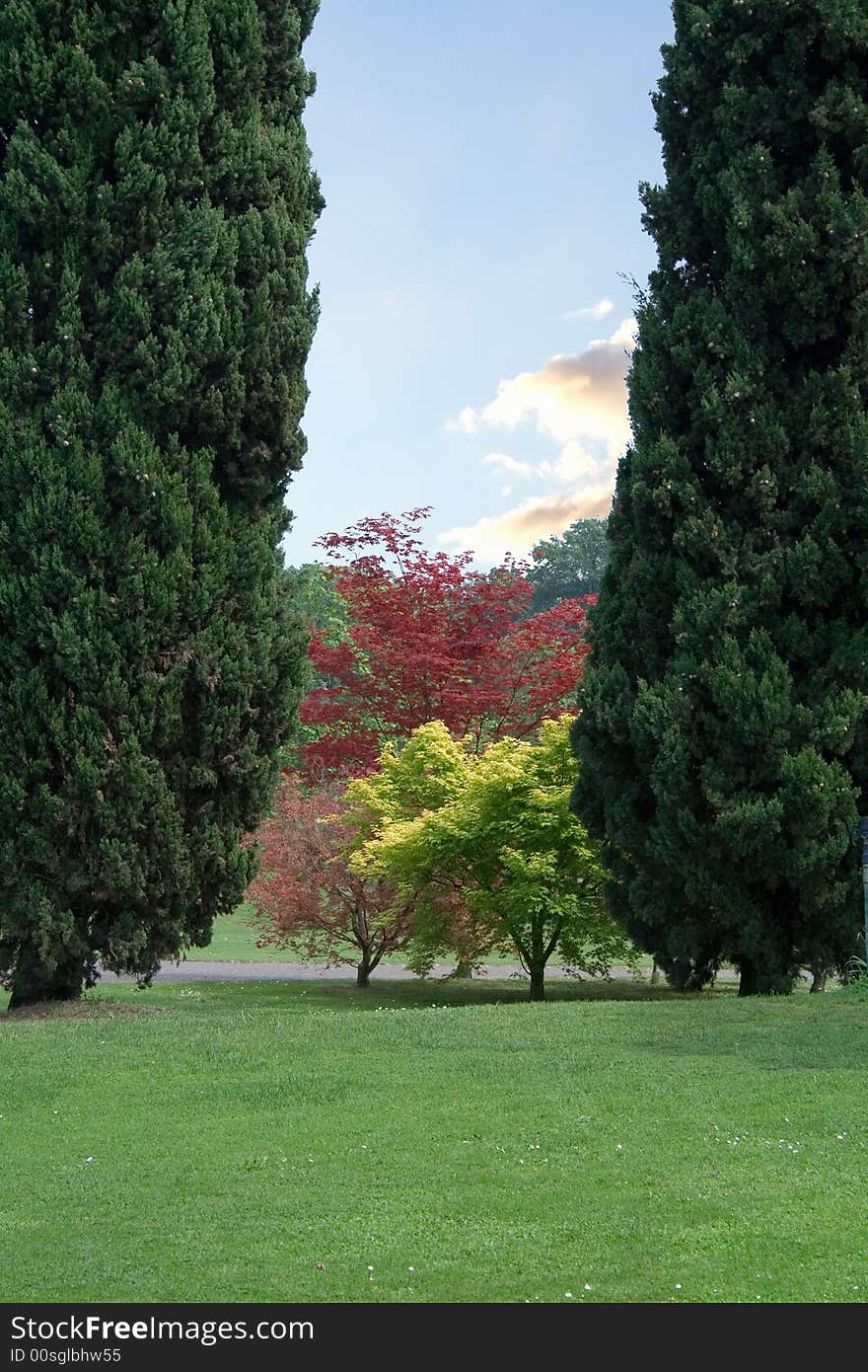 The Sigurtà park, near the Garda lake (Italy). The Sigurtà park, near the Garda lake (Italy)