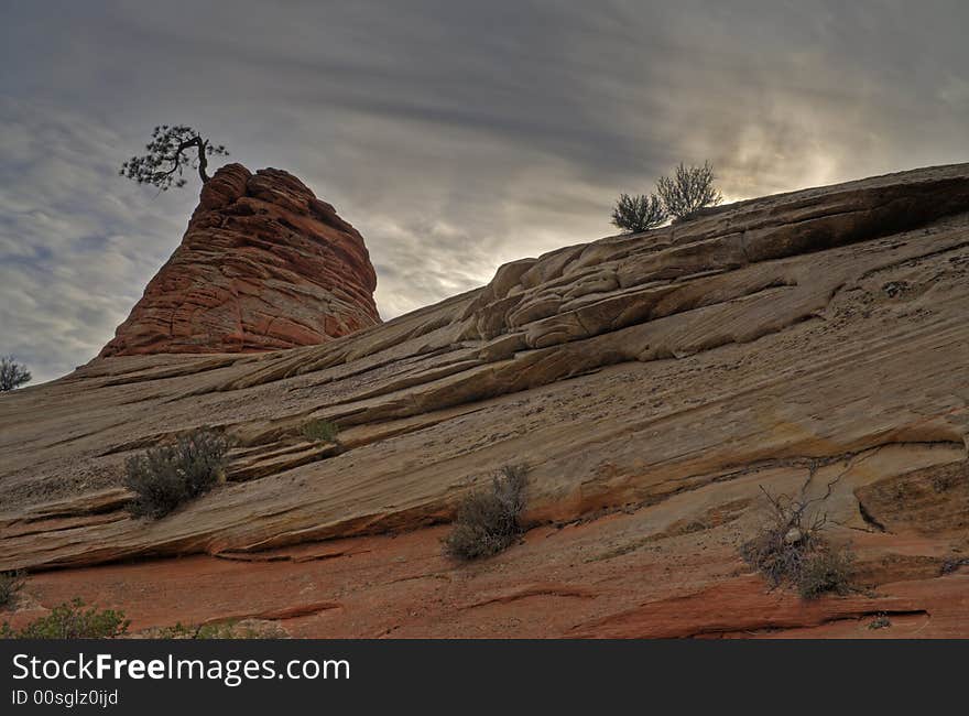 Zion National Park