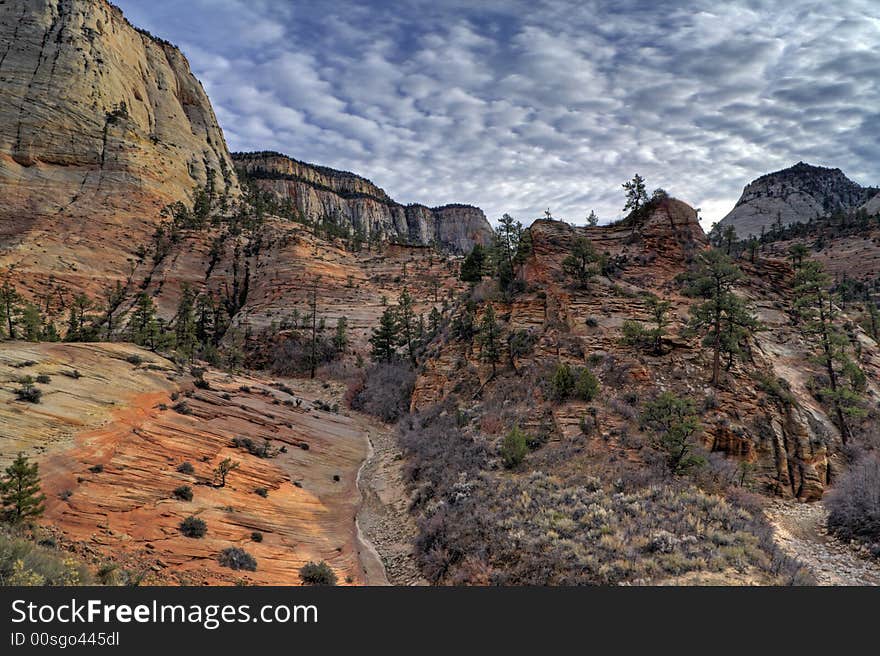 Autumn canyon cliffs in the checkerboard mesa in Zion National Park