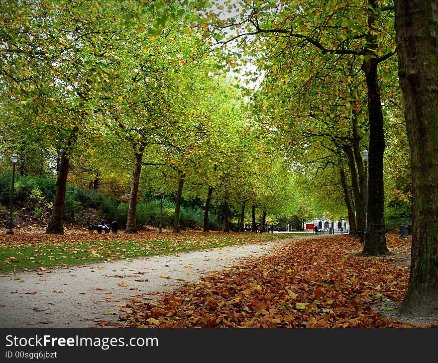 Trail autumn park