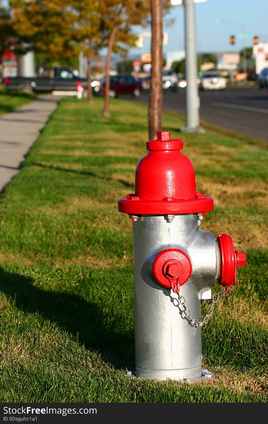 A fire hydrant on a grassy boulevard represents safety