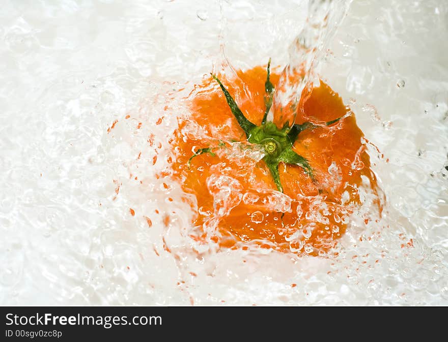 Tomato is being water washed on the white background. Tomato is being water washed on the white background