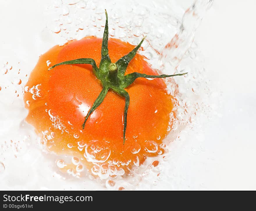 Tomato is being water washed on the white background. Tomato is being water washed on the white background