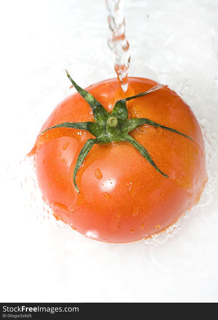 Tomato is being water washed on the white background. Tomato is being water washed on the white background