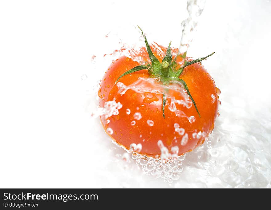 Tomato is being water washed on the white background. Tomato is being water washed on the white background