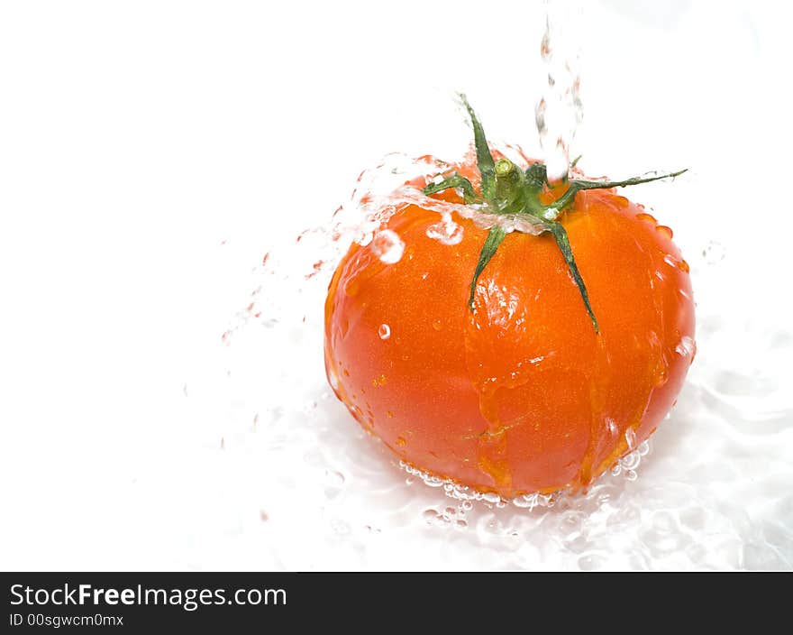 Tomato is being water washed on the white background. Tomato is being water washed on the white background