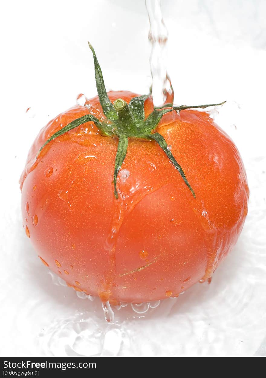 Tomato is being water washed on the white background. Tomato is being water washed on the white background