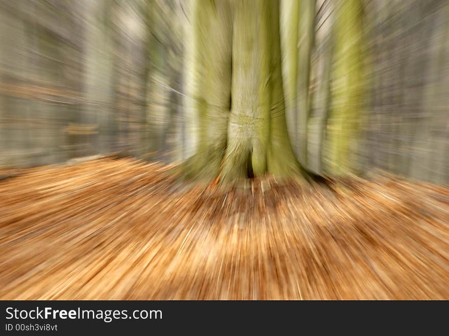 Abstract photo forest in autumn. Abstract photo forest in autumn