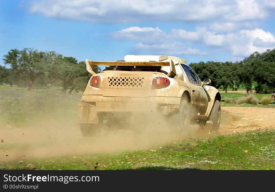 Car in competition in rally TT off-road.