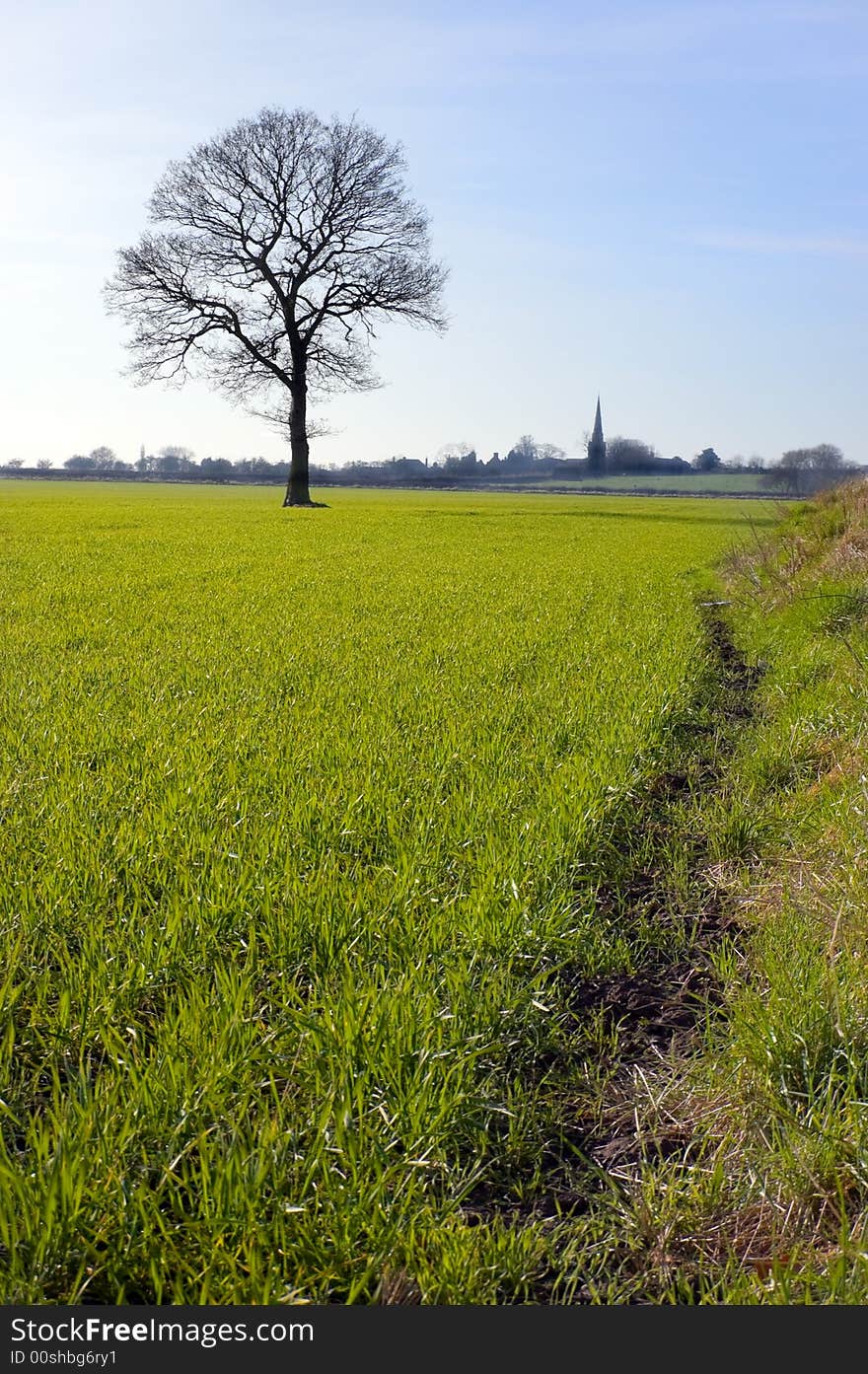 English Winter Landscape