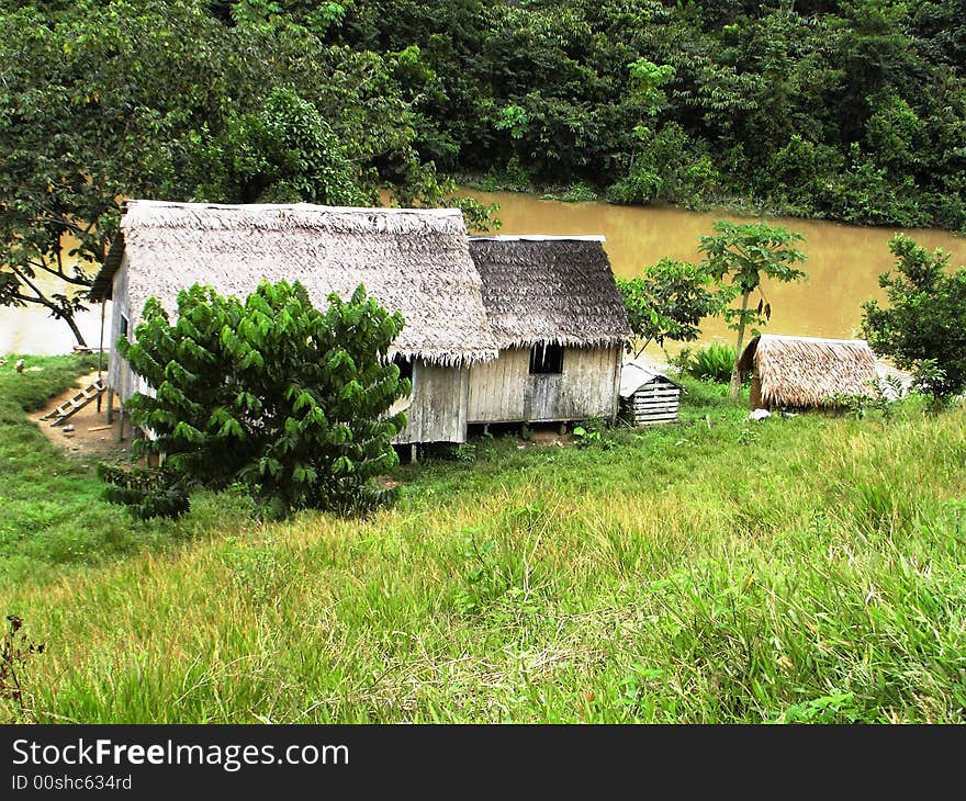 House on jungle river