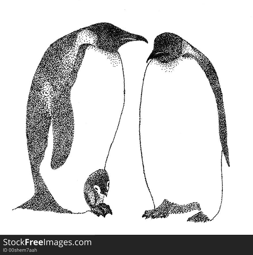 Penguin family