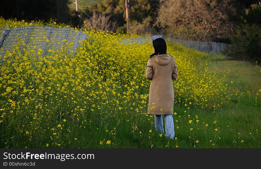 A graceful woman among the mustard flowers. A graceful woman among the mustard flowers