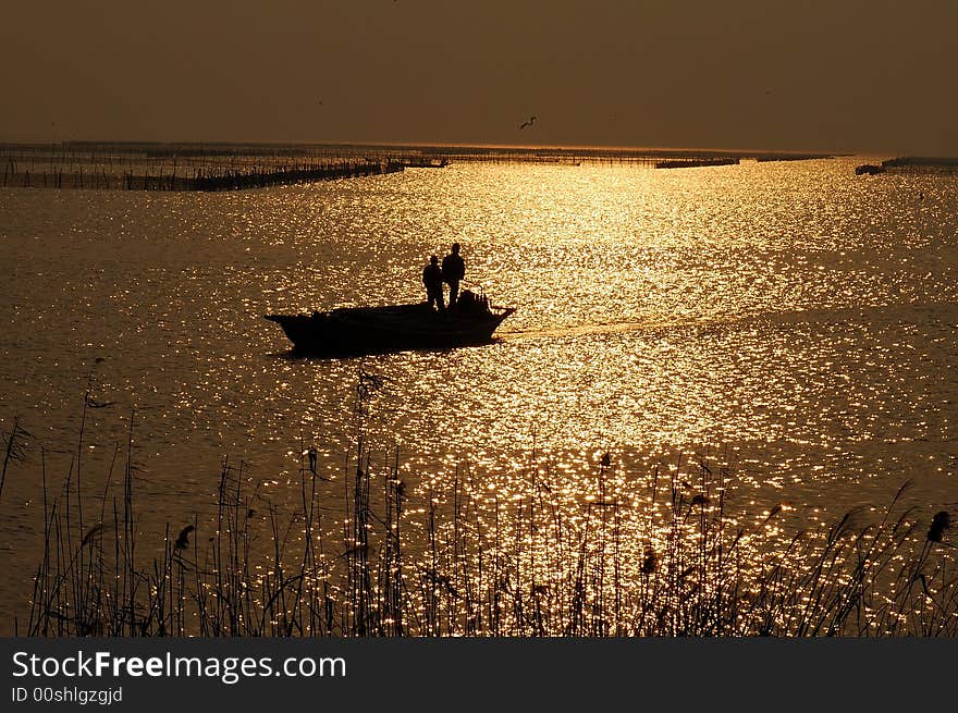 The boat on the Tai Lake under the sunset with the full fish. The boat on the Tai Lake under the sunset with the full fish.