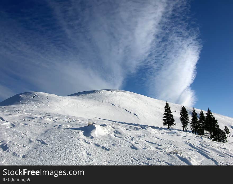 Winter Landscape On Carpathian Mountains