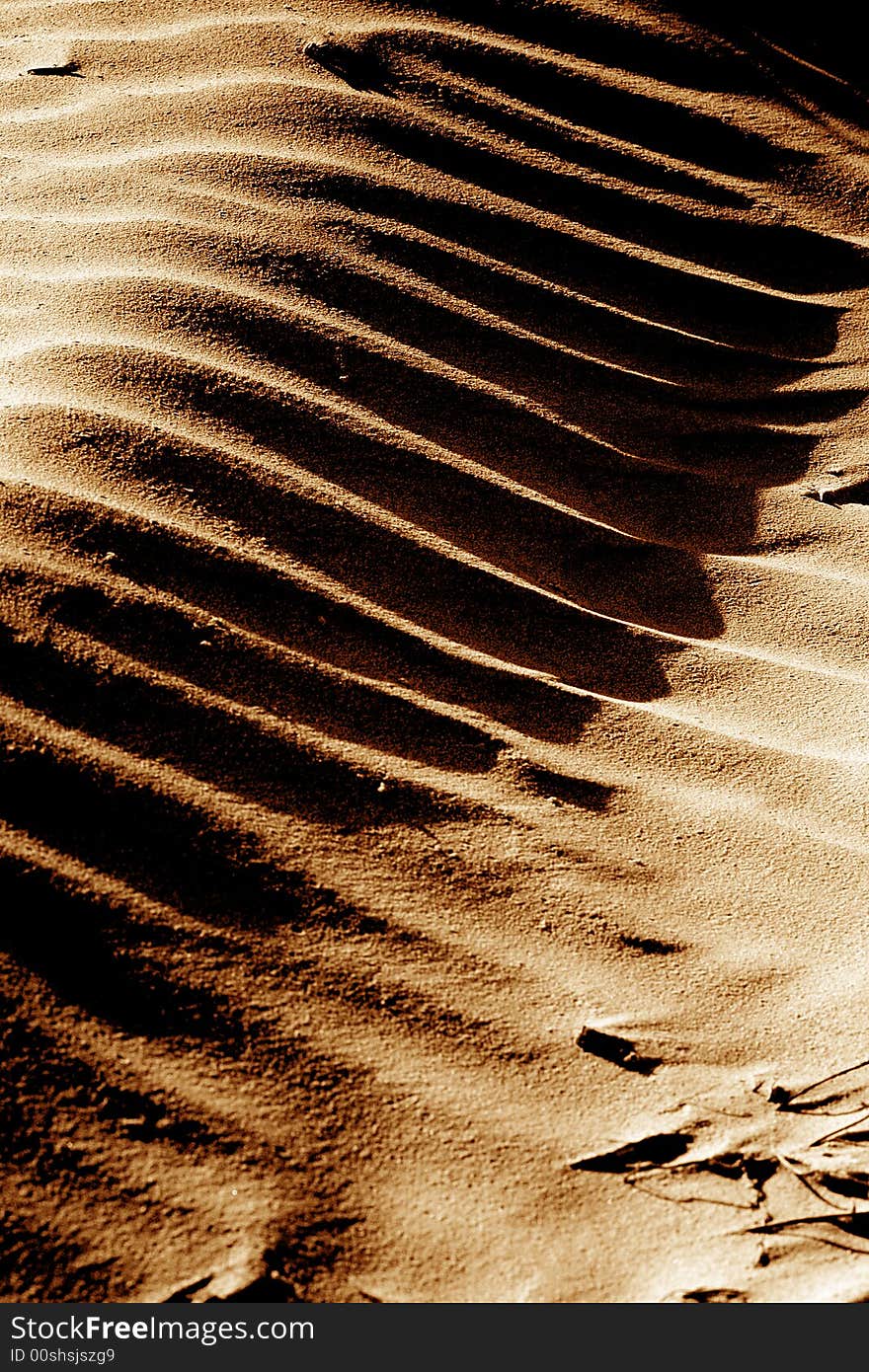 Sand dunes in the nature