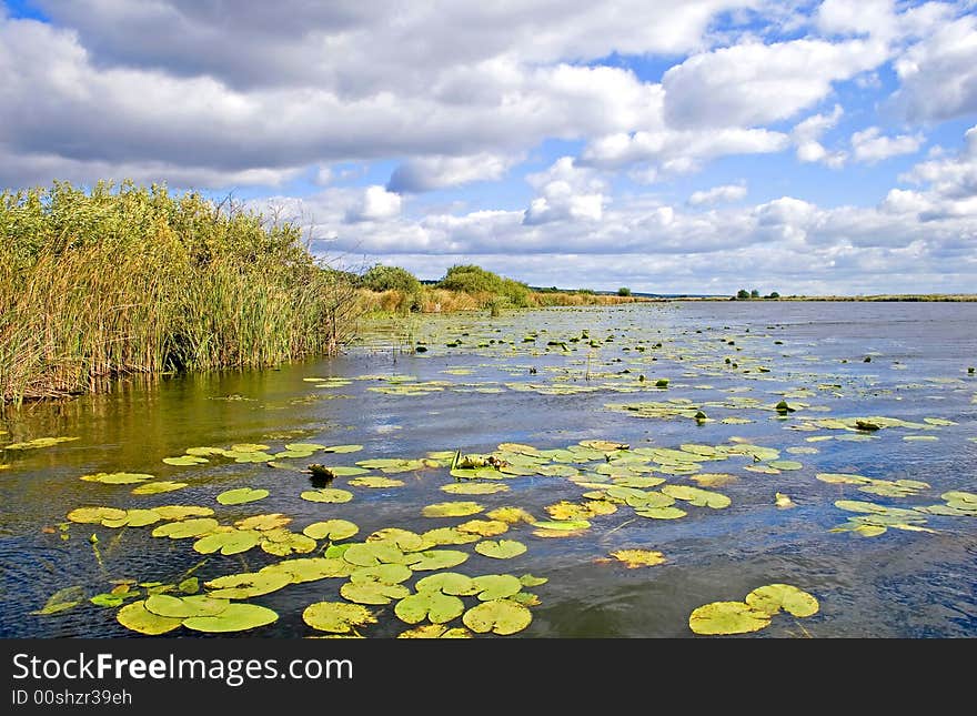 Beautiful and picturesque water landscape in summer