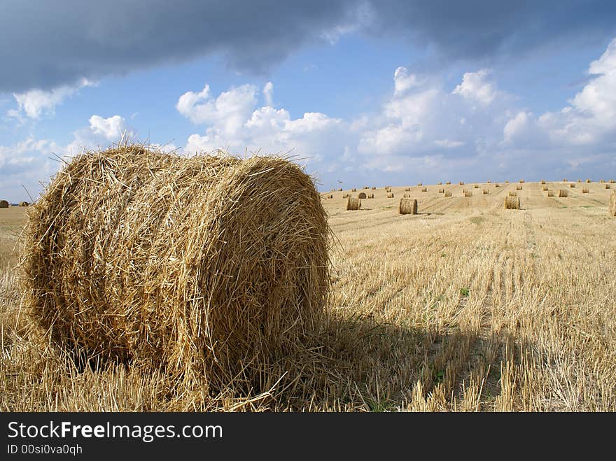 Hayfiel at country plant with blue cloudy skyes. Hayfiel at country plant with blue cloudy skyes