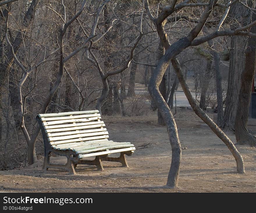 A chair under the  pair of trees reflected the sunlight of afternoon. A chair under the  pair of trees reflected the sunlight of afternoon.