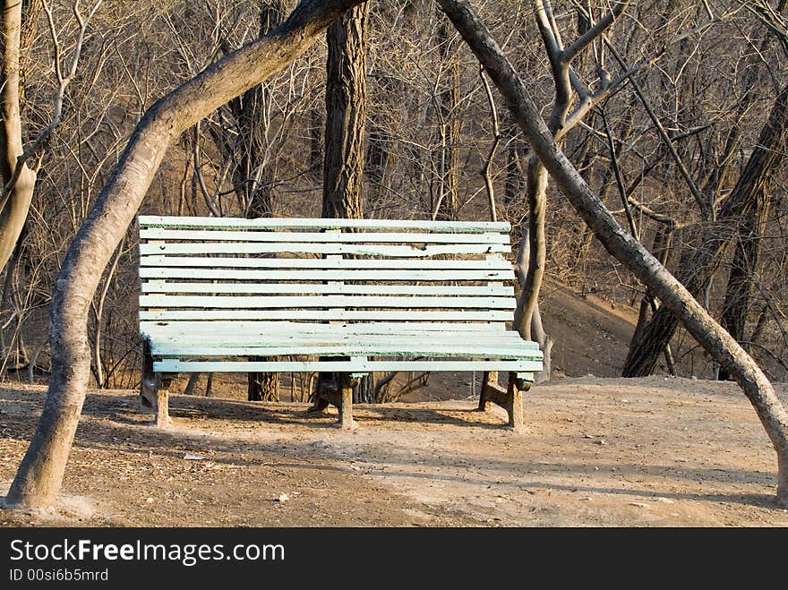 A chair under the  pair of trees reflected the sunlight of afternoon. A chair under the  pair of trees reflected the sunlight of afternoon.