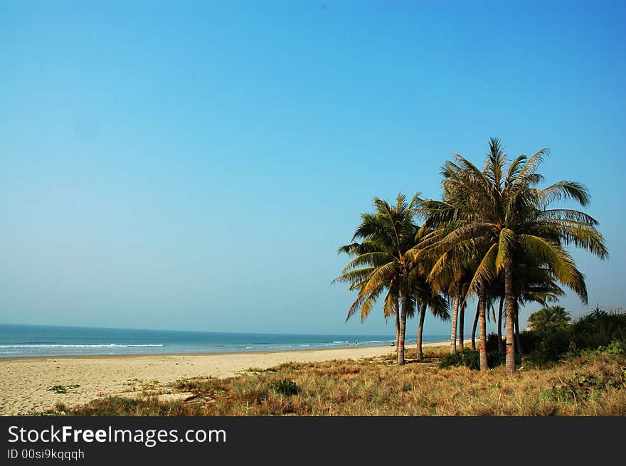 Beautiful scenery in sanya,hainan,China. Beautiful scenery in sanya,hainan,China