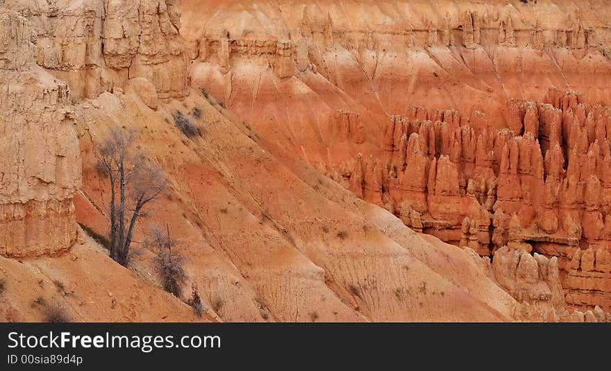 Hoodoo's in Bryce Canyon National Park in November