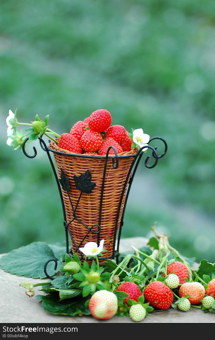 Strawberry in a basket,shot in guangzhou,China. Strawberry in a basket,shot in guangzhou,China