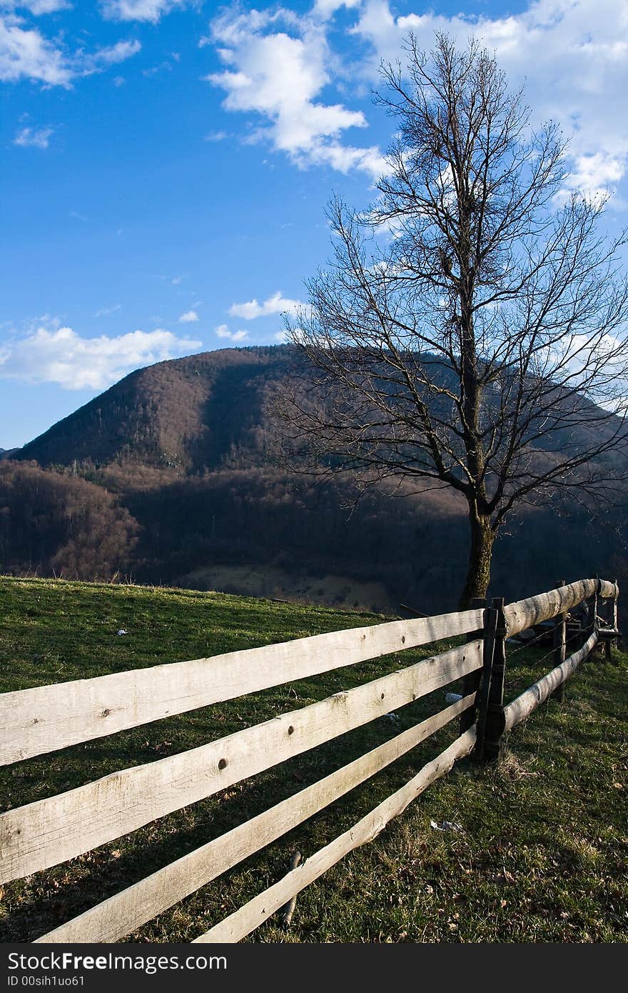 Single tree behind the fence and mountain in the distance. Single tree behind the fence and mountain in the distance