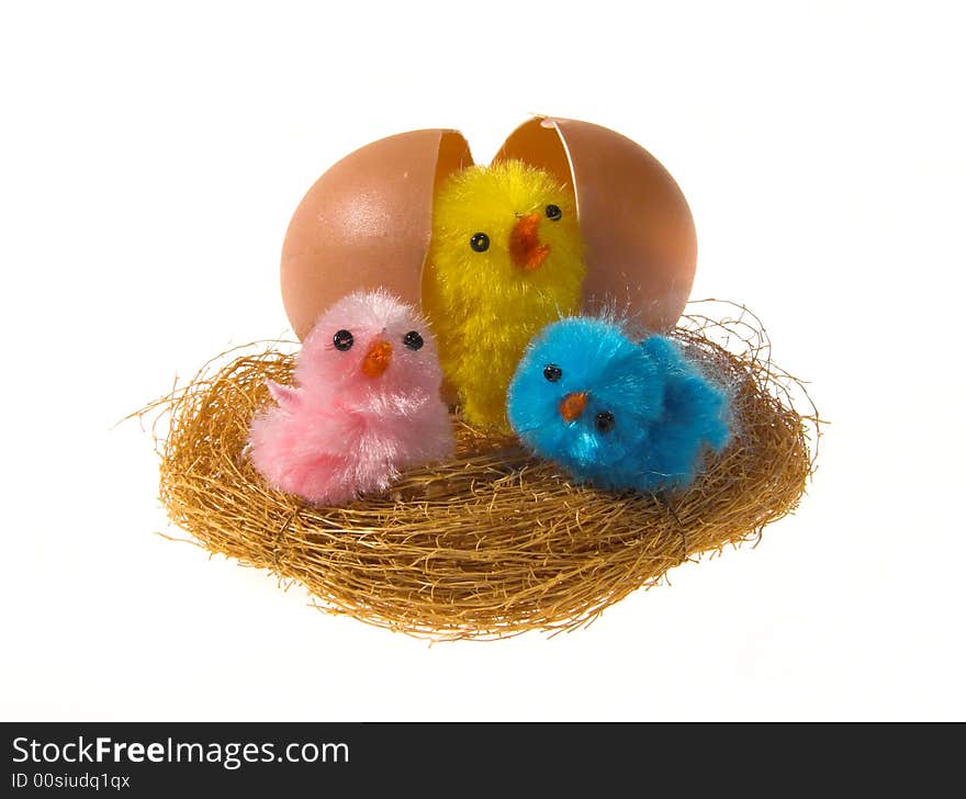 Easter chickens and egg in nest on white background