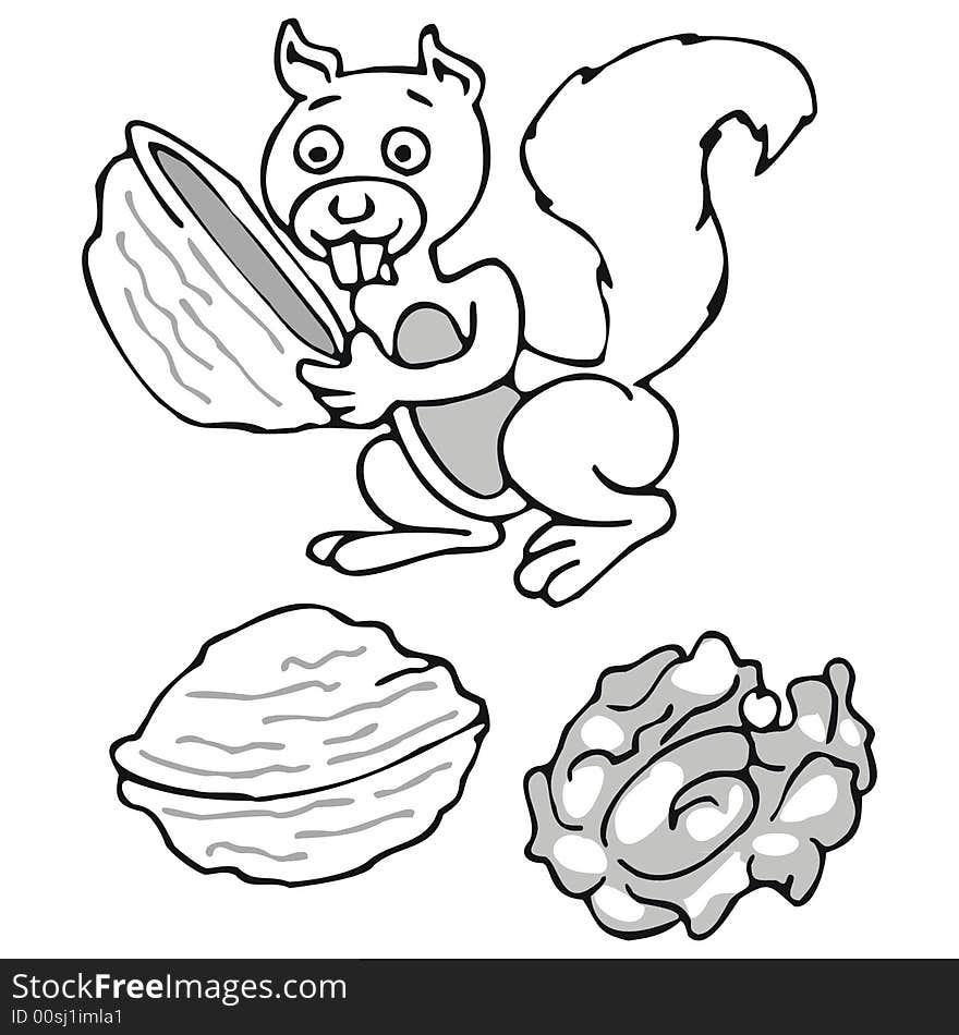 Squirrel and nuts