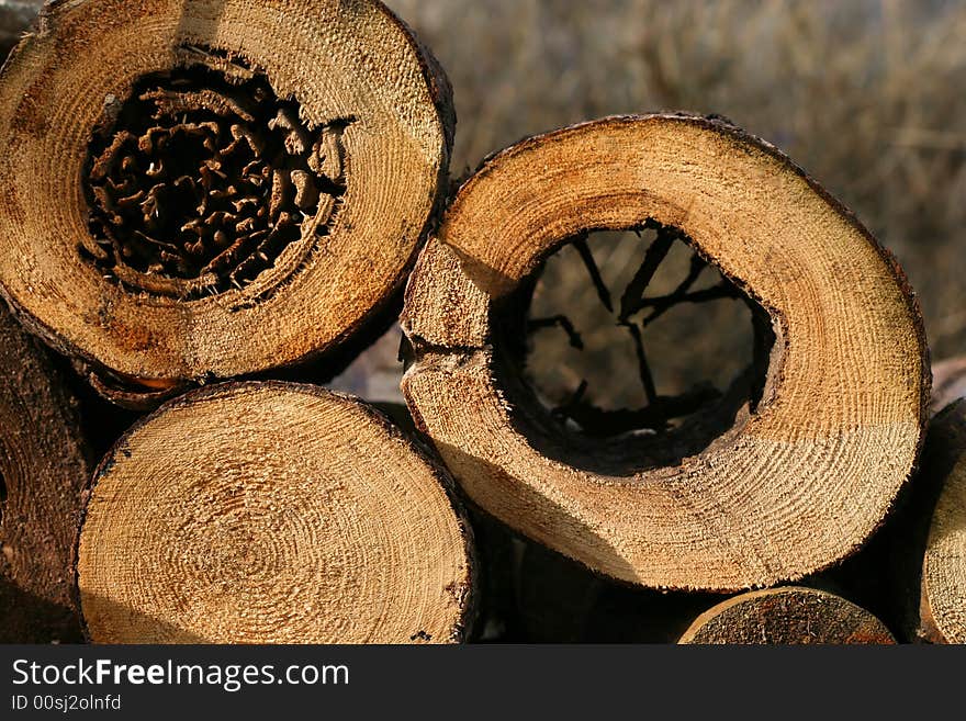 Wooden logs