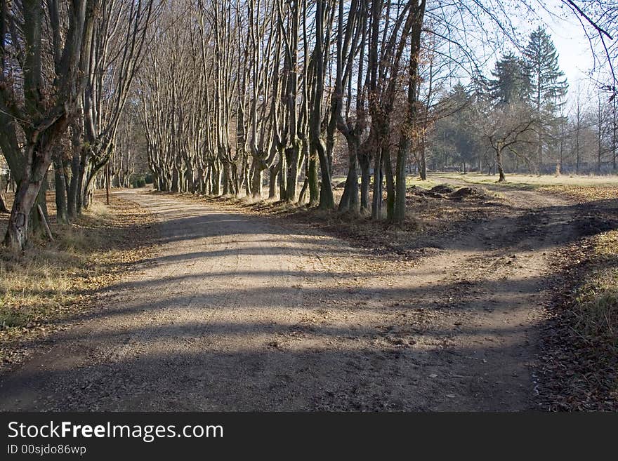 Turnout of autumn forest road. Turnout of autumn forest road