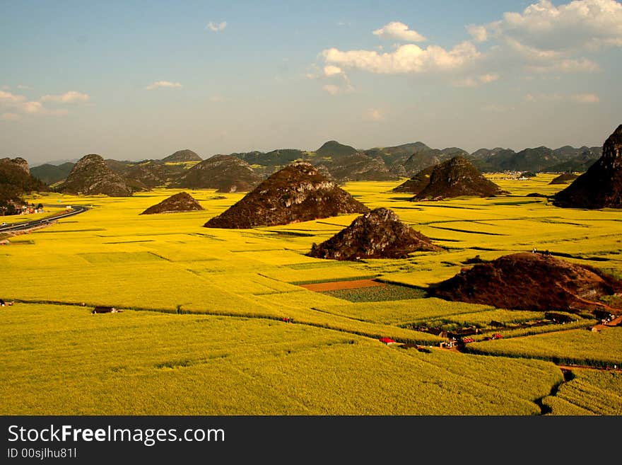 At leping of yunnan in china, the grand view of rape(cole) flowers field with small hills. At leping of yunnan in china, the grand view of rape(cole) flowers field with small hills