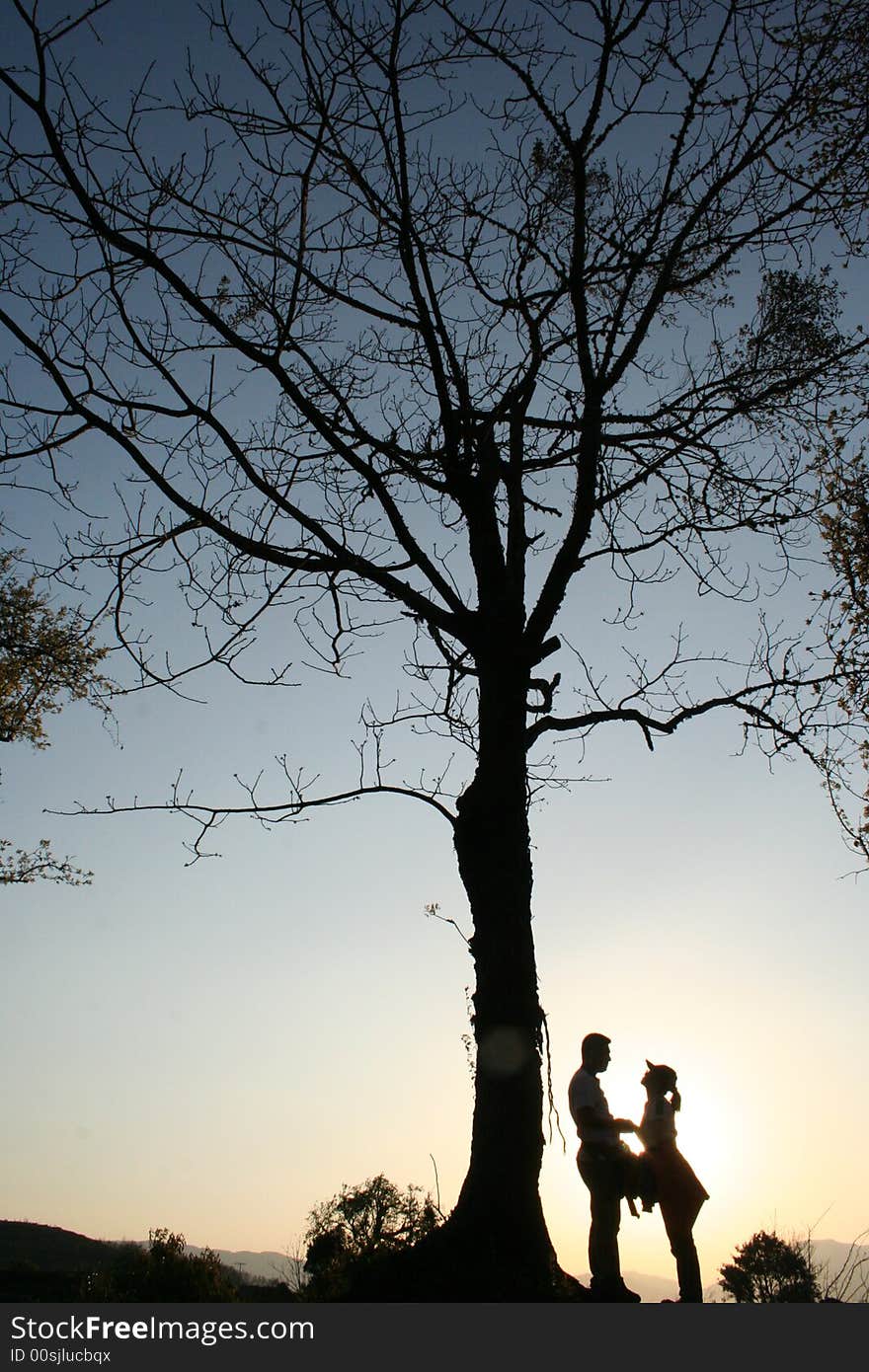 A farewell under the tree in sunset. A farewell under the tree in sunset