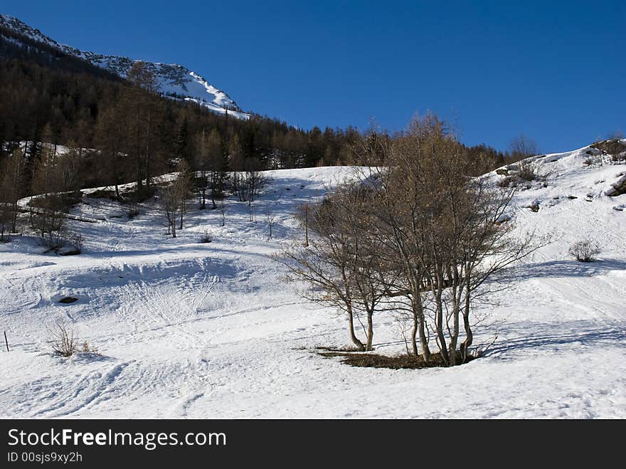 LaThuile, Snow, trees and slop