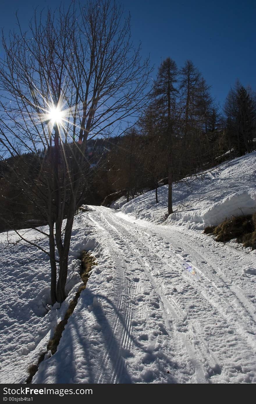 LaThuile, Snow, trees and slop