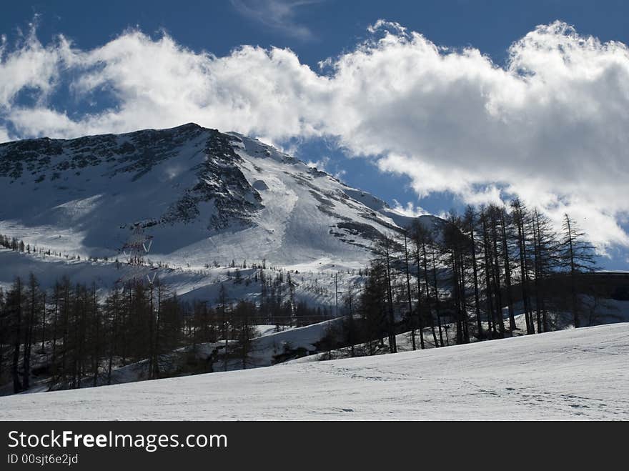 LaThuile, Snow, trees and slop