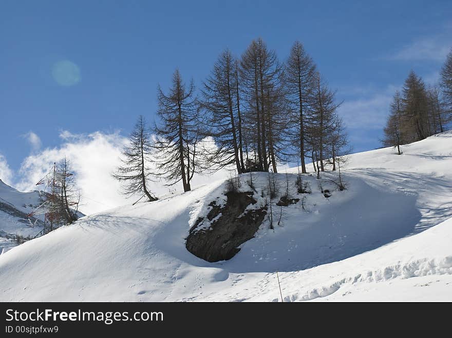 LaThuile, Snow, trees and slopes