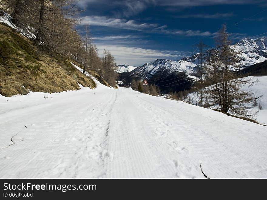 LaThuile, Snow, trees and slopes