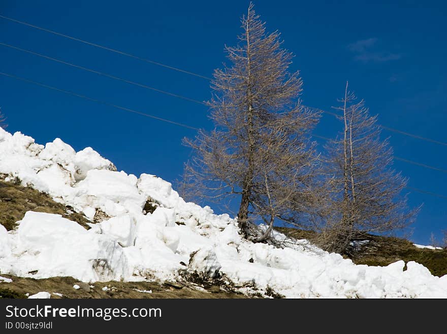 LaThuile, Snow, trees and slopes