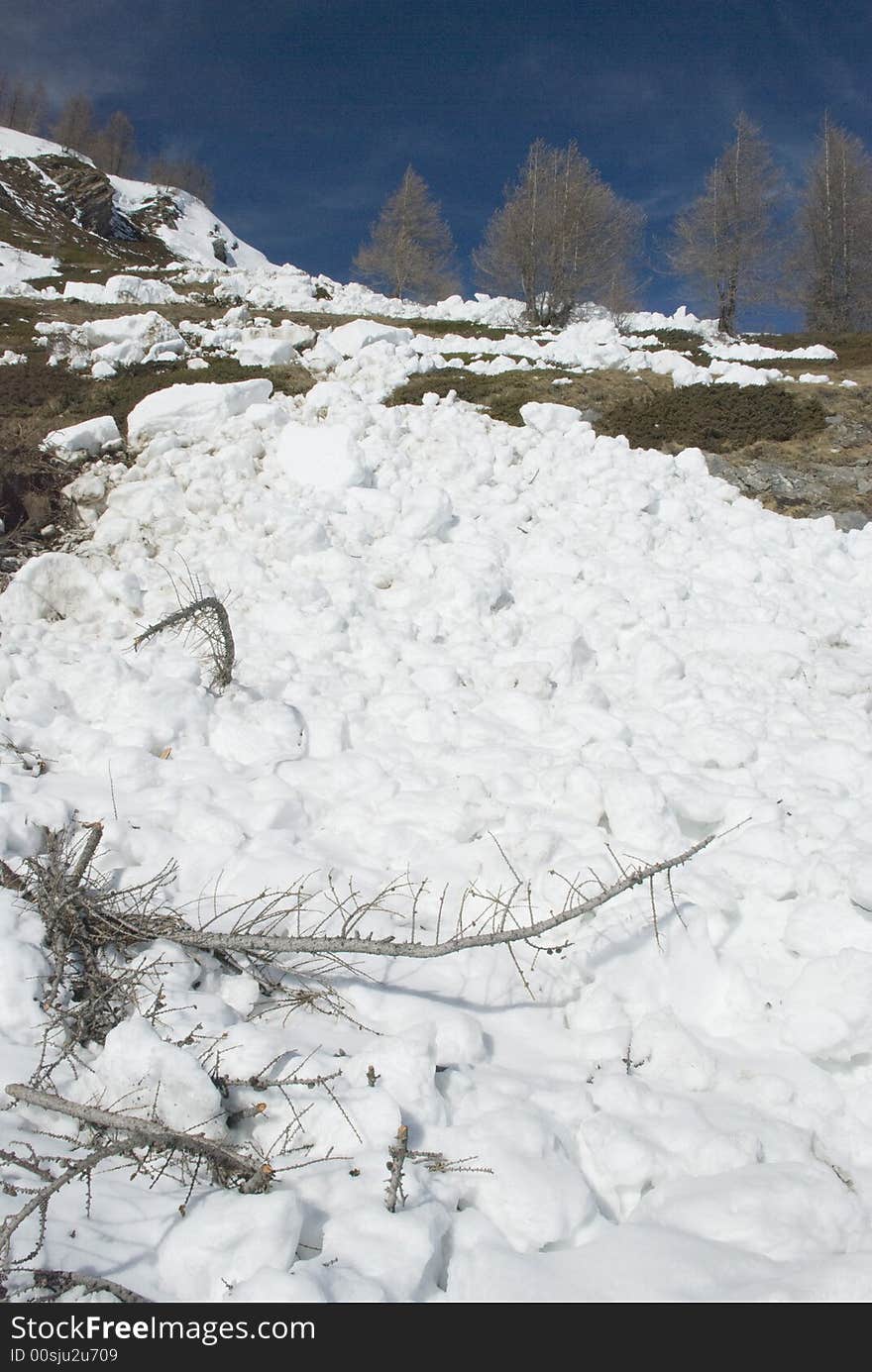 LaThuile, Snow, trees and slopes