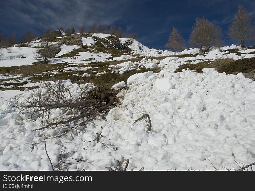 LaThuile, Snow, trees and slopes