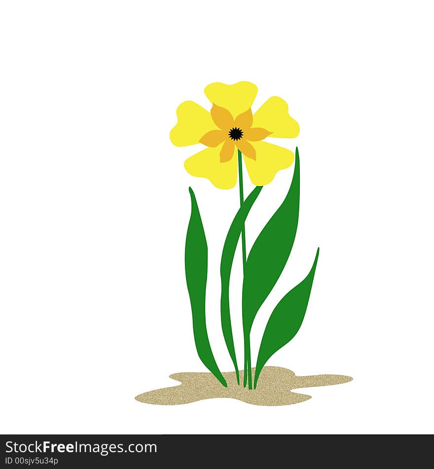 Yellow flower and green leaves on solid background. Yellow flower and green leaves on solid background