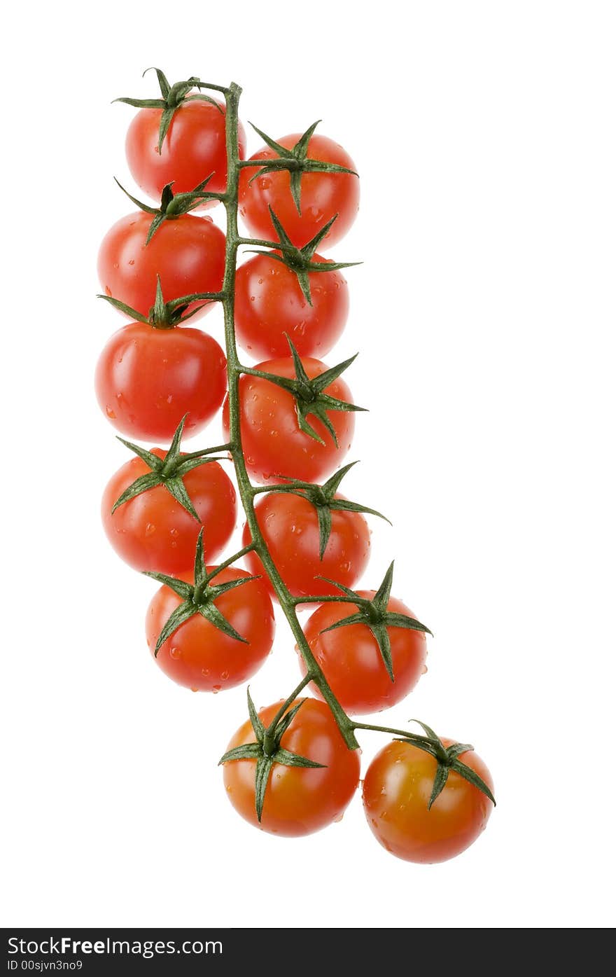 Isolated red ripe cherry tomatoes over white background. Isolated red ripe cherry tomatoes over white background