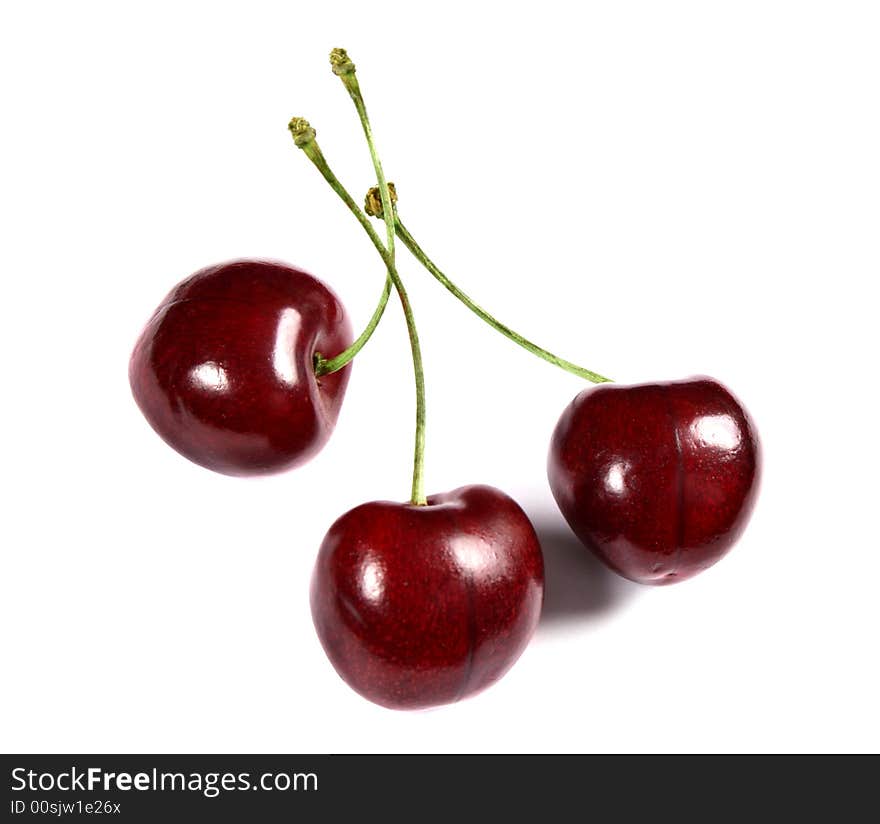 Cherries on white background