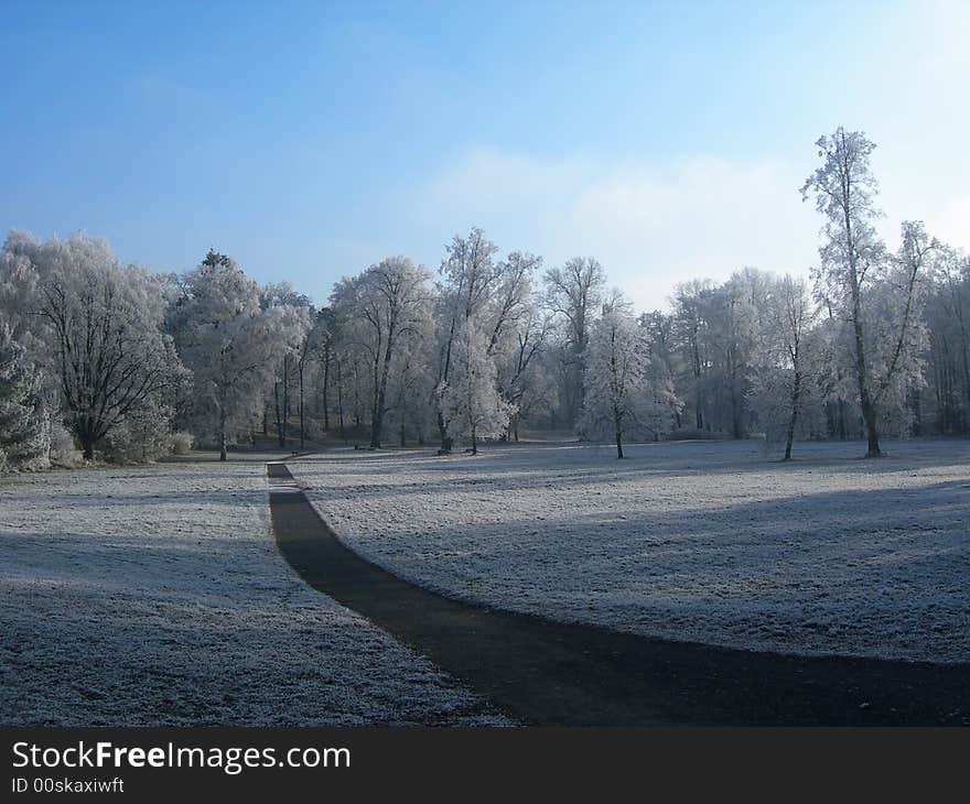 Road an frozen field